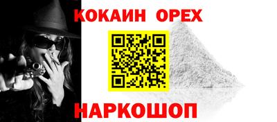 гидра Кандалакша