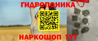 гидра Кандалакша