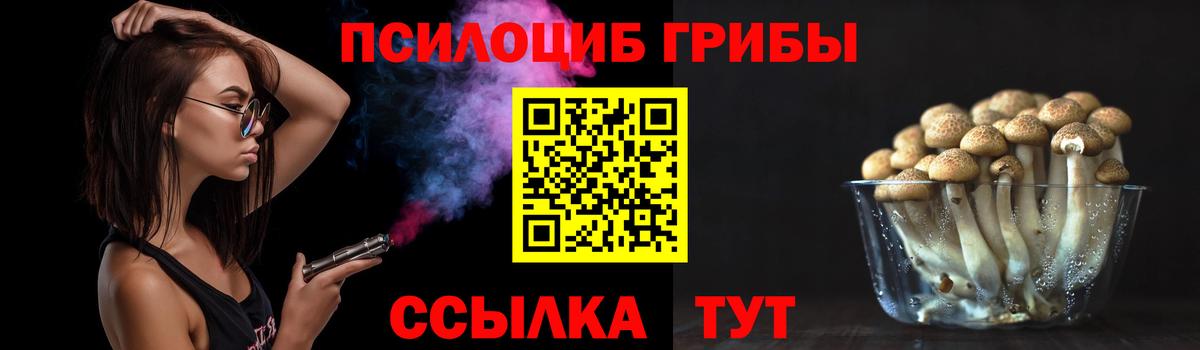 Галлюциногенные грибы прущие грибы  Вход с VPN  Коряжма 